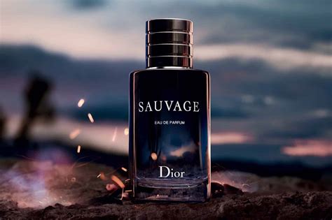 how long does dior sauvage last|is dior sauvage worth it.